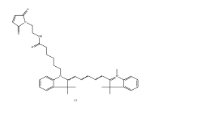 标记巯基染料Cyanine5 maleimide|Cy5 MAL；1437796-65-0；Cy5-马来酰亚胺	