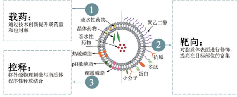 米托蒽醌脂质体,Mitoxantrone,liposomes,Mit-lipo