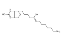 N-生物素基-1,6-己二胺	  