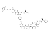 cas:646502-53-6 ，MC-Val-Cit-PAB-MMAE，VCMMAE 单甲基奥瑞他汀E