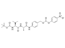 cas:1884578-00-0，Boc-Val-Ala-PAB-PNP