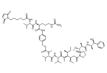 Vc-MMAE， cas:646502-53-6，ADC定制