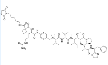 MC-Sq-Cit-PAB-Dolastatin10 ，cas:1941168-65-5，ADC定制