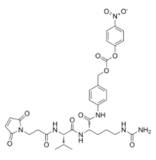 	Mal-VC-PAB-PNP  
