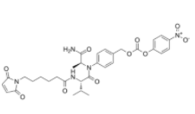 	MC-Val-Ala-PAB-PNP	 