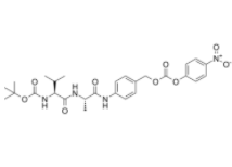 	Boc-Val-Ala-PAB-PNP  