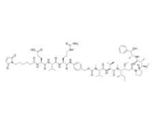 MC-EVCit-PAB-MMAE