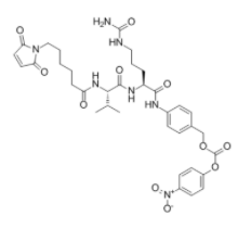 	Mc-Val-Cit-PABC-PNP  