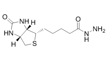 Biotin Hydrazide，66640-86-6，生物素酰肼
