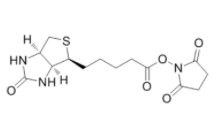Biotin NHS