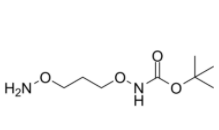 1-(t-Boc-Aminooxy)-3-aminooxy-propane 