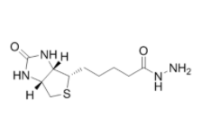 	生物素酰肼	 