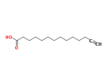 Alkynyl myristic acid 