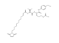 cas:2727965-49-1 ， Mal-PEG3-Val-Cit-PAB-OH，马来酰亚胺-三聚乙二醇-VAL-CIT-羟基