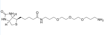 Biotin-PEG3-(CH2)3-amine TFA salt ；生物素-PEG3-(CH2)3-氨基三氟乙酸盐