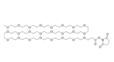 m-PEG24-NHS ester  