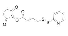 SPDB，115088-06-7，ADC试剂