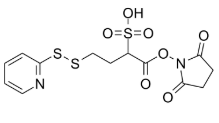 sulfo-SPDB，1193111-39-5，抗体- 药物偶联物