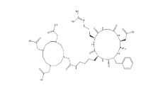909024-55-1,DOTA-cyclo(RGDfK) acetate，大环配体