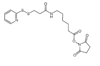SPDP-C6-NHS ester，158913-22-5，抗体- 药物偶联物