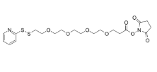 PEG4-SPDP，1305053-43-3，ADC试剂