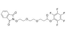 NHPI-PEG2-C2-Pfp ester，2101206-47-5，抗体- 药物偶联物