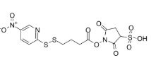 NO2-SPDB-sulfo，663598-89-8，ADC试剂