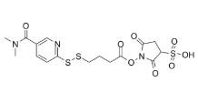 DMAC-SPDB-sulfo，663599-07-3，抗体- 药物偶联物