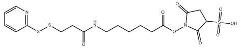 sulfo-LC-SPDP，150244‐18‐1，抗体- 药物偶联物
