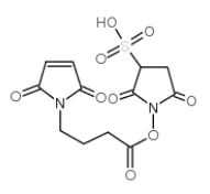 Mal-amino-sulfo，158018-81-6，抗体- 药物偶联物