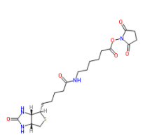 Biotin-C5-NHS Ester 