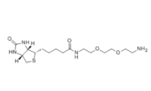 生物素-PEG2-胺	