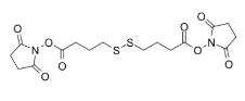 Bis-SS-C3-NHS ester，98604-88-7，ADC试剂