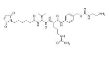 MC-vc-PAB-NH2，1616727-20-8，ADC试剂