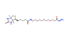 Biotin-PEG3-propionic hydrazide  