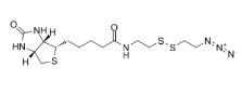 N3-SS-biotin，Azide-C2-SS-C2-biotin，1620523-64-9，ADC试剂