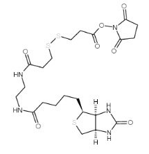 Biotin-bisamido-SS-NHS，142439-92-7，ADC试剂