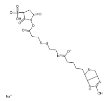 Sulfo-NHS-SS-Biotin sodium,325143-98-4，抗体- 药物偶联物