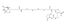 PC-Biotin-PEG4-NHS carbonate，2055198-03-1，ADC试剂