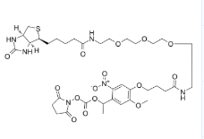PC Biotin-PEG3-NHS ester，2353409-93-3，ADC试剂