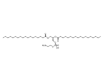 1,2-二硬脂酰基-sn-丙三基-3-磷脂酰乙醇胺(DSPE)	  