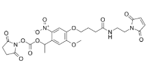 PC Mal-NHS carbonate ester，1408057-91-9，ADC试剂