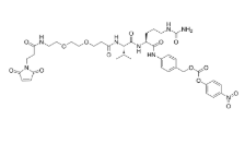 Mal-amido-PEG2-Val-Cit-PAB-PNP，2112738-13-1 ，抗体- 药物偶联物
