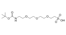 Boc-NH-PEG3-sulfonic acid，1817735-32-2，抗体- 药物偶联物