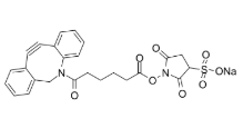 DBCO-Sulfo-NHS ester sodium，1400191-52-7，ADC试剂