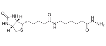 生物素酰胺基己酸肼，Biotin-LC-Hydrazide