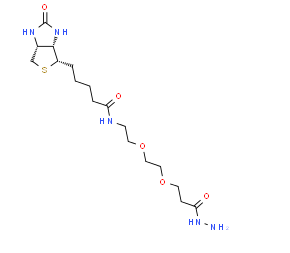(+)-Biotin-PEG2-Hydrazide，(+)-生物素-二聚乙二醇-酰肼