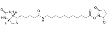 (+)-Biotin-SLC-NHS Ester，生物素-C10-N-羟基琥珀酰亚胺酯