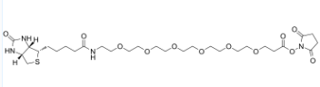 (+)-BIOTIN-PEG23-CH2CH2N3，生物素二十三聚乙二醇乙基叠氮