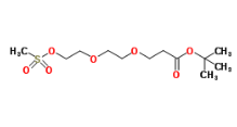 Mesyl-PEG-t-butyl ester (PEG1-PEGn)，1312309-62-8，ADC试剂